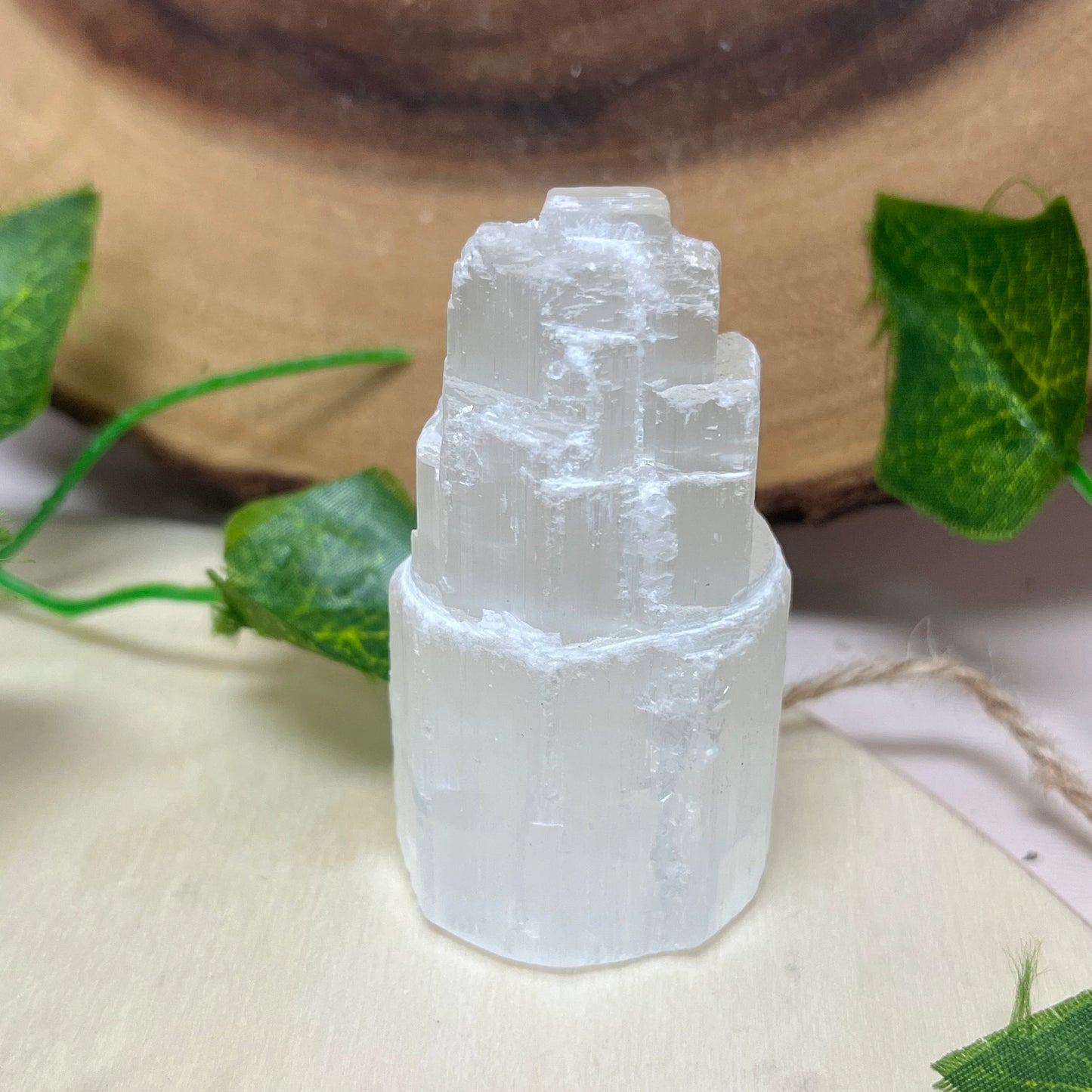 Home Cleansing Kit with Sage, Palo Santo, Selenite, House Warming Gift Kit, Protection & Cleansing, Reiki, Meditation, Energy Cleansing,