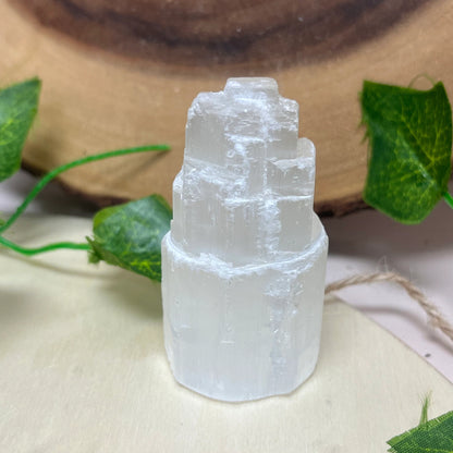 Home Cleansing Kit with Sage, Palo Santo, Selenite, House Warming Gift Kit, Protection & Cleansing, Reiki, Meditation, Energy Cleansing,